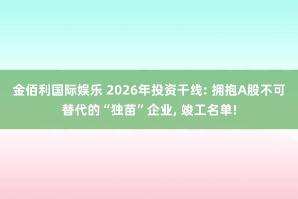 金佰利国际娱乐 2026年投资干线: 拥抱A股不可替代的“独苗”企业， 竣工名单!