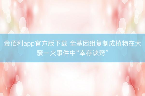 金佰利app官方版下载 全基因组复制成植物在大骤一火事件中“幸存诀窍”