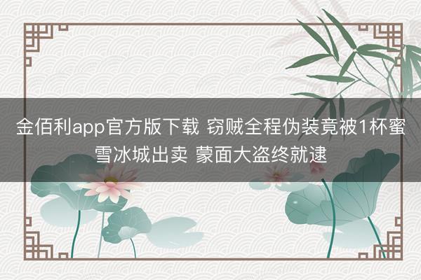 金佰利app官方版下载 窃贼全程伪装竟被1杯蜜雪冰城出卖 蒙面大盗终就逮