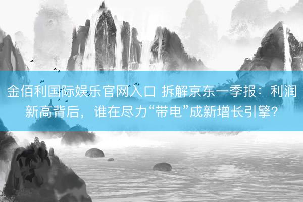 金佰利国际娱乐官网入口 拆解京东一季报：利润新高背后，谁在尽力“带电”成新增长引擎？