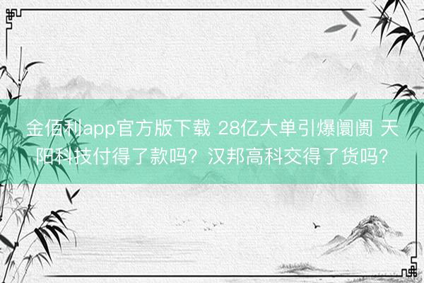 金佰利app官方版下载 28亿大单引爆阛阓 天阳科技付得了款吗？汉邦高科交得了货吗？