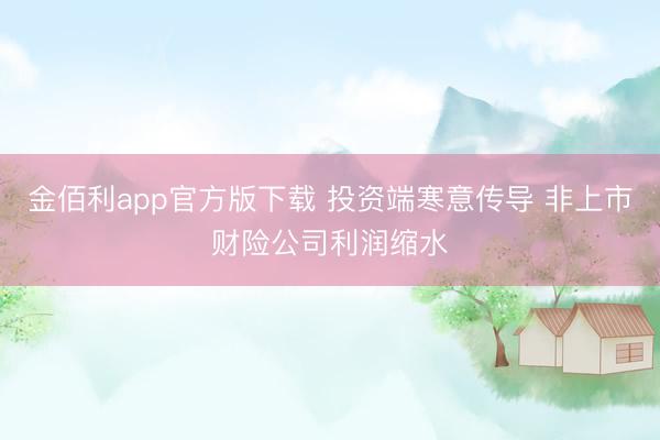 金佰利app官方版下载 投资端寒意传导 非上市财险公司利润缩水