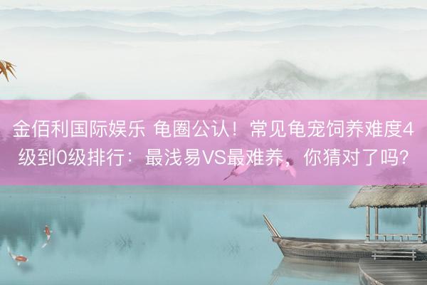 金佰利国际娱乐 龟圈公认！常见龟宠饲养难度4级到0级排行：最浅易VS最难养，你猜对了吗？