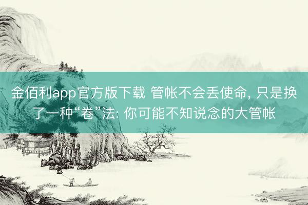 金佰利app官方版下载 管帐不会丢使命， 只是换了一种“卷”法: 你可能不知说念的大管帐