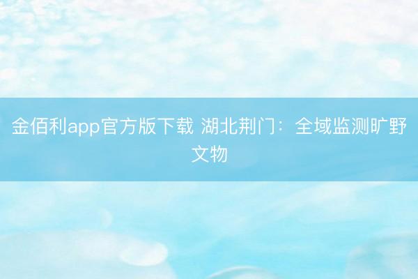金佰利app官方版下载 湖北荆门：全域监测旷野文物