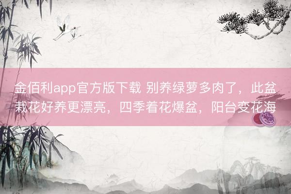 金佰利app官方版下载 别养绿萝多肉了，此盆栽花好养更漂亮，四季着花爆盆，阳台变花海