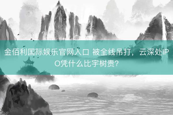 金佰利国际娱乐官网入口 被全线吊打，云深处IPO凭什么比宇树贵？