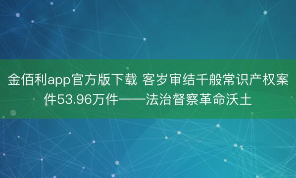 金佰利app官方版下载 客岁审结千般常识产权案件53.96万件——法治督察革命沃土