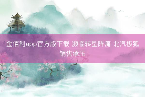 金佰利app官方版下载 濒临转型阵痛 北汽极狐销售承压