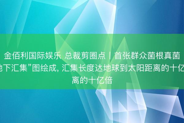 金佰利国际娱乐 总裁剪圈点丨首张群众菌根真菌“地下汇集”图绘