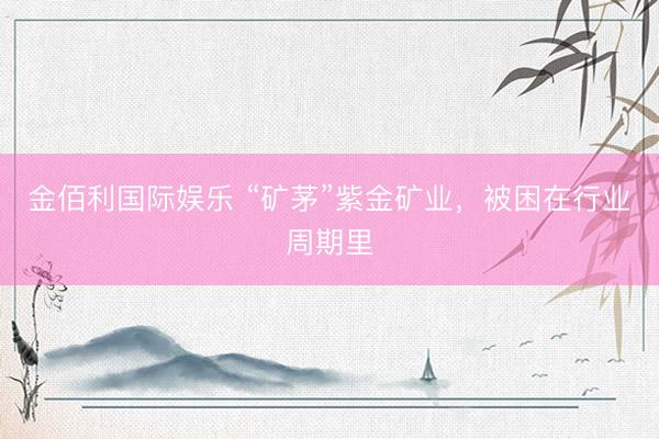 金佰利国际娱乐 “矿茅”紫金矿业，被困在行业周期里